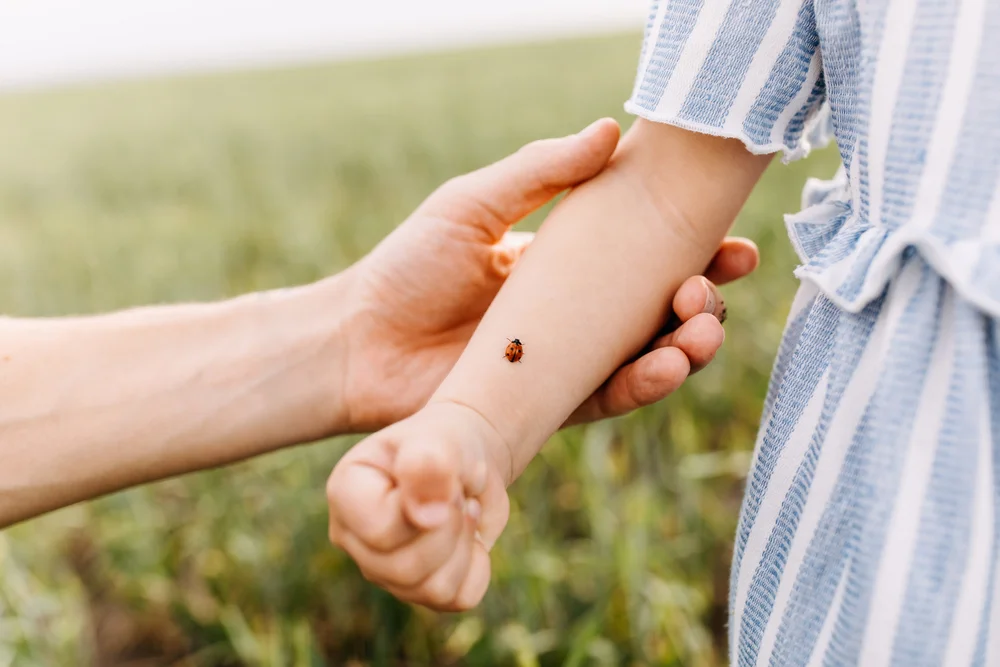 Surrogacy mother care